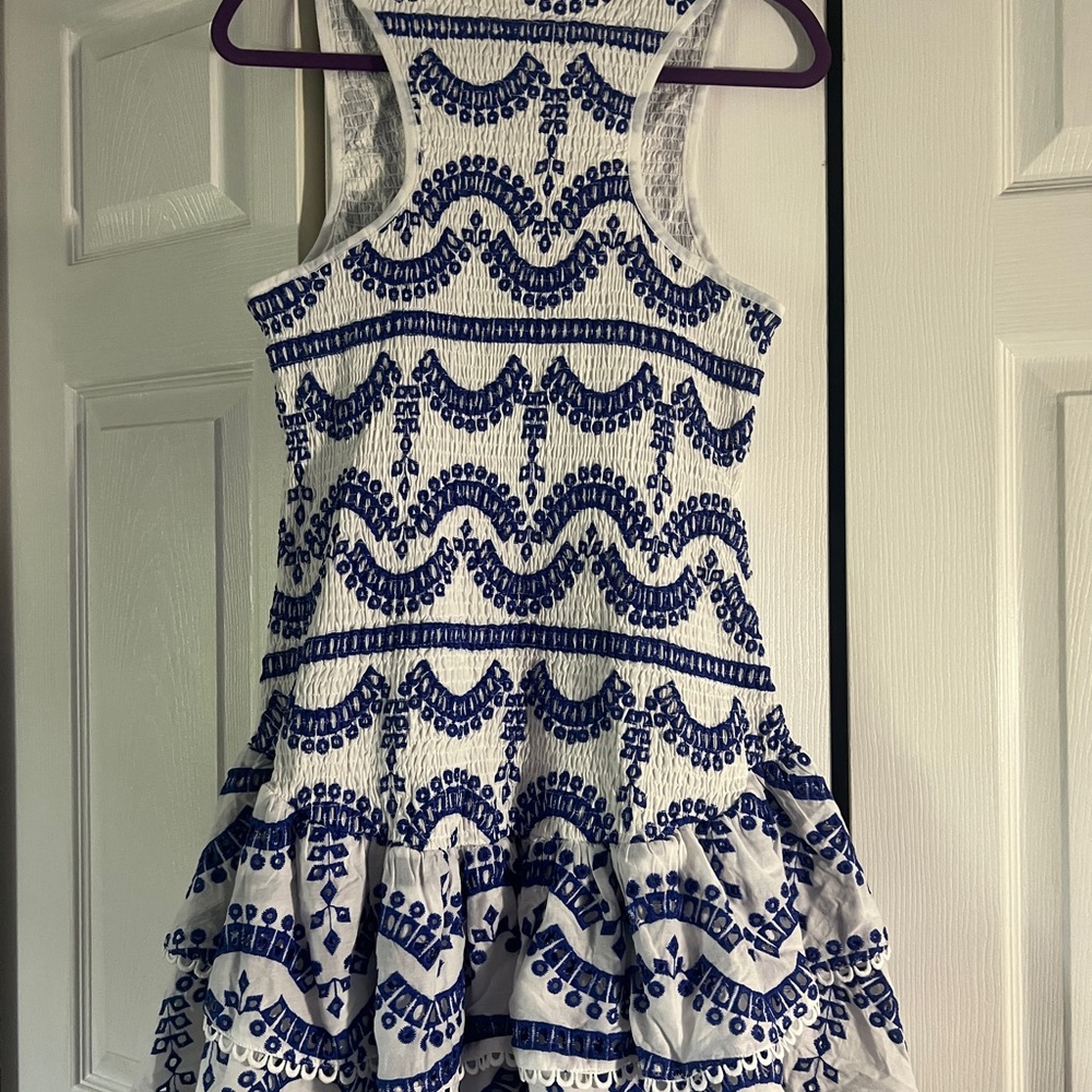 Embroidered Ruffled Sleeveless Dress - Picture 12 of 16